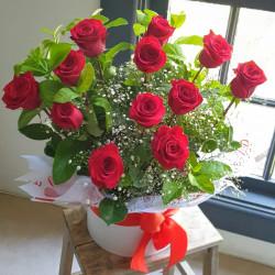 12 Red Roses Boxed