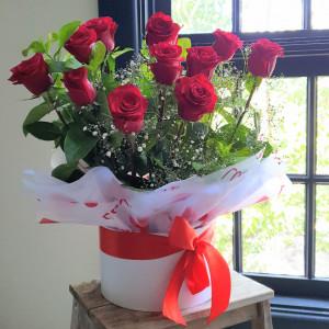 12 Red Roses Boxed