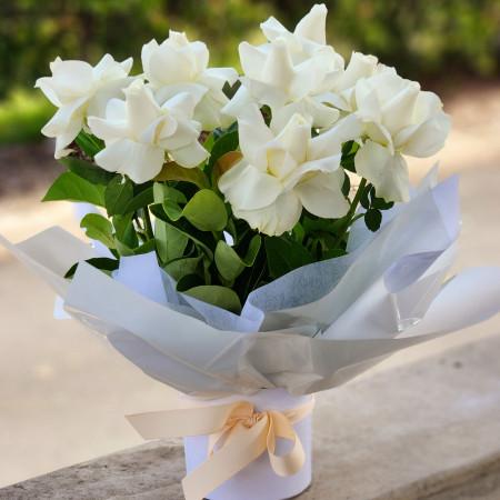 White Roses In Box