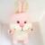 Soft Pink Bunny 20cm +$15.95