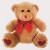 Brown Teddy (20cm) +$14.95