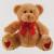 Brown Teddy (25cm) +$16.95