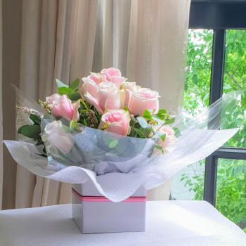 Pastel Pinks Pastel Pinks