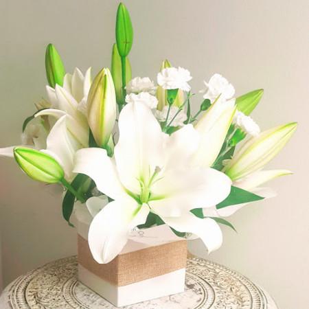Boxed Lilies