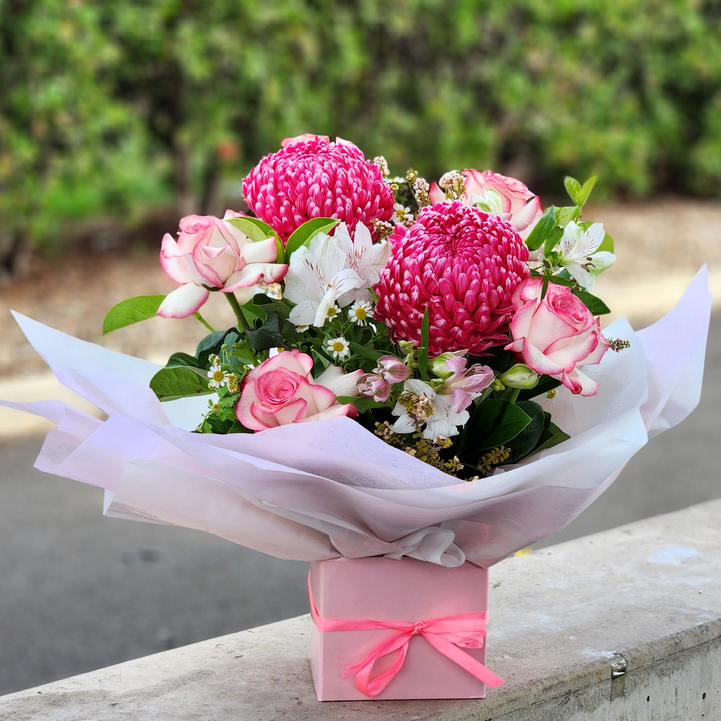 Alabama'S Act Of Rebellion: Flowers For Shanna! - 0hqn0qi
